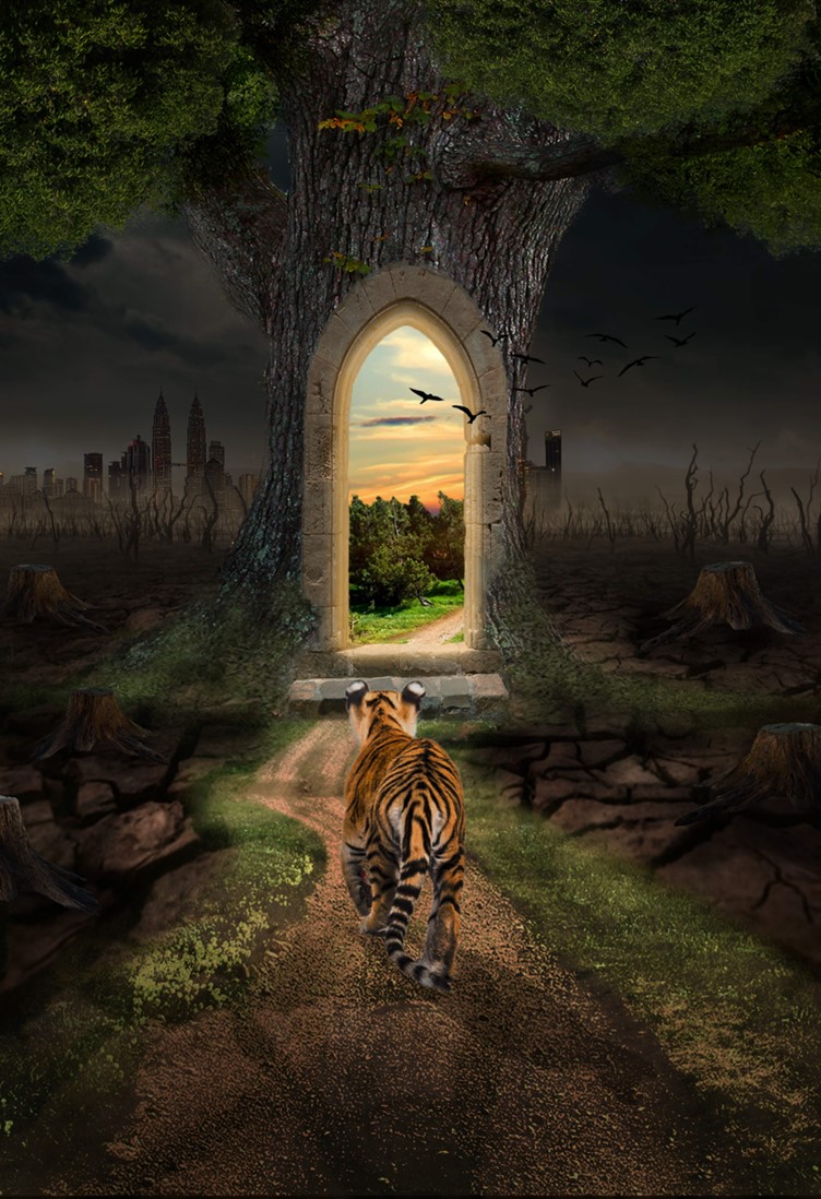 Digital Imaging and Photography