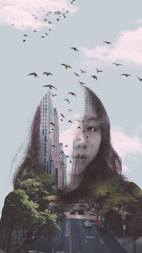 Digital Imaging and Photography